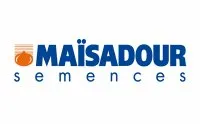 Семена подсолнечника Мас 84.Е