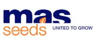 Мас 56.А - гибрид кукурузы от MAS Seeds - ФАО 480