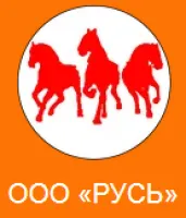 Штабелер гидравлический с электроподъемом TOR 10/30, 1 т 3,0 м (CTD)