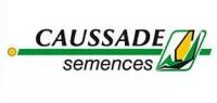 ЖОКАРИ КС семена гибрида кукурузы Caussade ФАО 310